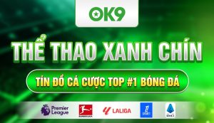 Đánh Giá Thương Hiệu OK9 Có Uy Tín Không?